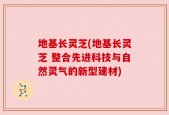 地基长灵芝(地基长灵芝 整合先进科技与自然灵气的新型建材)