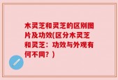木灵芝和灵芝的区别图片及功效(区分木灵芝和灵芝：功效与外观有何不同？)