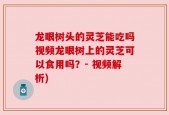 龙眼树头的灵芝能吃吗视频龙眼树上的灵芝可以食用吗？- 视频解析)