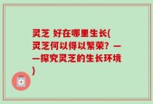 灵芝 好在哪里生长(灵芝何以得以繁荣？——探究灵芝的生长环境)