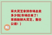 采大灵芝拿到市场去卖多少钱(市场价来了！采摘新鲜大灵芝，售价公道！)