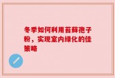 冬季如何利用苔藓孢子粉，实现室内绿化的佳策略