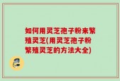 如何用灵芝孢子粉来繁殖灵芝(用灵芝孢子粉繁殖灵芝的方法大全)