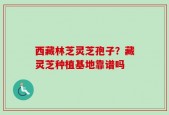 西藏林芝灵芝孢子？藏灵芝种植基地靠谱吗
