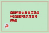 南阳有什么野生灵芝品种(南阳野生灵芝品种探秘)