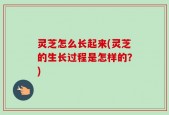 灵芝怎么长起来(灵芝的生长过程是怎样的？)