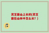 灵芝菌山上长的(灵芝菌在山林中怎么长？)