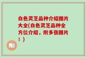 白色灵芝品种介绍图片大全(白色灵芝品种全方位介绍，附多张图片！)