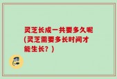 灵芝长成一共要多久呢(灵芝需要多长时间才能生长？)