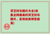 灵芝纹石图片大全(收集全网最美的灵芝纹石图片，呈现绝美视觉盛宴)