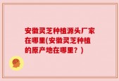 安徽灵芝种植源头厂家在哪里(安徽灵芝种植的原产地在哪里？)