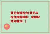 灵芝金银百合(灵芝与百合相得益彰：金银配对可增效！)