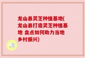 龙山县灵芝种植基地(龙山县打造灵芝种植基地 盘点如何助力当地乡村振兴)