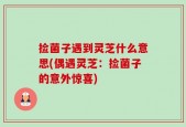 捡菌子遇到灵芝什么意思(偶遇灵芝：捡菌子的意外惊喜)