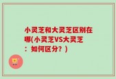 小灵芝和大灵芝区别在哪(小灵芝VS大灵芝：如何区分？)
