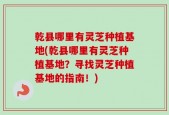 乾县哪里有灵芝种植基地(乾县哪里有灵芝种植基地？寻找灵芝种植基地的指南！)