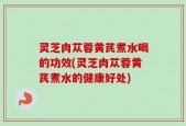 灵芝肉苁蓉黄芪煮水喝的功效(灵芝肉苁蓉黄芪煮水的健康好处)