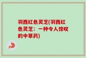 羽西红色灵芝(羽西红色灵芝：一种令人惊叹的中草药)
