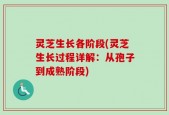 灵芝生长各阶段(灵芝生长过程详解：从孢子到成熟阶段)
