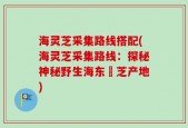 海灵芝采集路线搭配(海灵芝采集路线：探秘神秘野生海东靈芝产地)