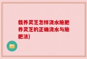 载养灵芝怎样浇水施肥养灵芝的正确浇水与施肥法)