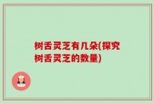 树舌灵芝有几朵(探究树舌灵芝的数量)