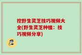 挖野生灵芝技巧视频大全(野生灵芝种植：技巧视频分享)