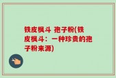 铁皮枫斗 孢子粉(铁皮枫斗：一种珍贵的孢子粉来源)