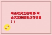 崂山收灵芝在哪里(崂山灵芝采摘地点在哪里？)