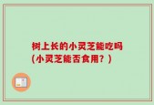 树上长的小灵芝能吃吗(小灵芝能否食用？)