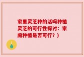 家里灵芝种的活吗种植灵芝的可行性探讨：家庭种植是否可行？)
