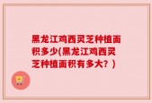 黑龙江鸡西灵芝种植面积多少(黑龙江鸡西灵芝种植面积有多大？)