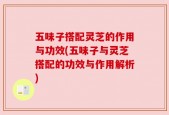 五味子搭配灵芝的作用与功效(五味子与灵芝搭配的功效与作用解析)