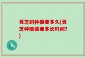 灵芝的种植要多久(灵芝种植需要多长时间？)
