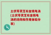 土伏苓灵芝石金钱龟汤(土伏苓灵芝石金钱龟汤的功效和作用体验分享)