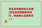 灵芝盆景根部怎么处理(灵芝盆景根部修剪技巧，快速美化盆景款式！)