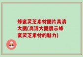 蜂蜜灵芝素材图片高清大图(高清大图展示蜂蜜灵芝素材的魅力)