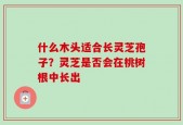 什么木头适合长灵芝孢子？灵芝是否会在桃树根中长出