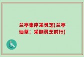 兰亭集序采灵芝(兰亭仙草：采撷灵芝前行)