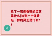 捡了一支像香菇的灵芝是什么(捡到一个像香菇一样的灵芝是什么？)