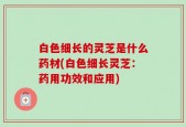 白色细长的灵芝是什么药材(白色细长灵芝：药用功效和应用)
