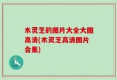 木灵芝的图片大全大图高清(木灵芝高清图片合集)