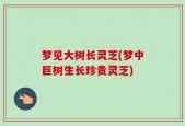 梦见大树长灵芝(梦中巨树生长珍贵灵芝)
