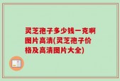 灵芝孢子多少钱一克啊图片高清(灵芝孢子价格及高清图片大全)