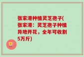 张家港种植灵芝孢子(张家港：灵芝孢子种植异地开花，全年可收割5万斤)