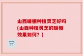 山西暖棚种植灵芝好吗(山西种植灵芝的暖棚效果如何？)