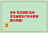 吉林 灵芝破壁(吉林灵芝破壁生产技术取得重大突破)