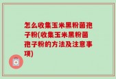 怎么收集玉米黑粉菌孢子粉(收集玉米黑粉菌孢子粉的方法及注意事项)