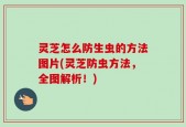 灵芝怎么防生虫的方法图片(灵芝防虫方法，全图解析！)