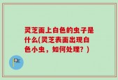灵芝面上白色的虫子是什么(灵芝表面出现白色小虫，如何处理？)